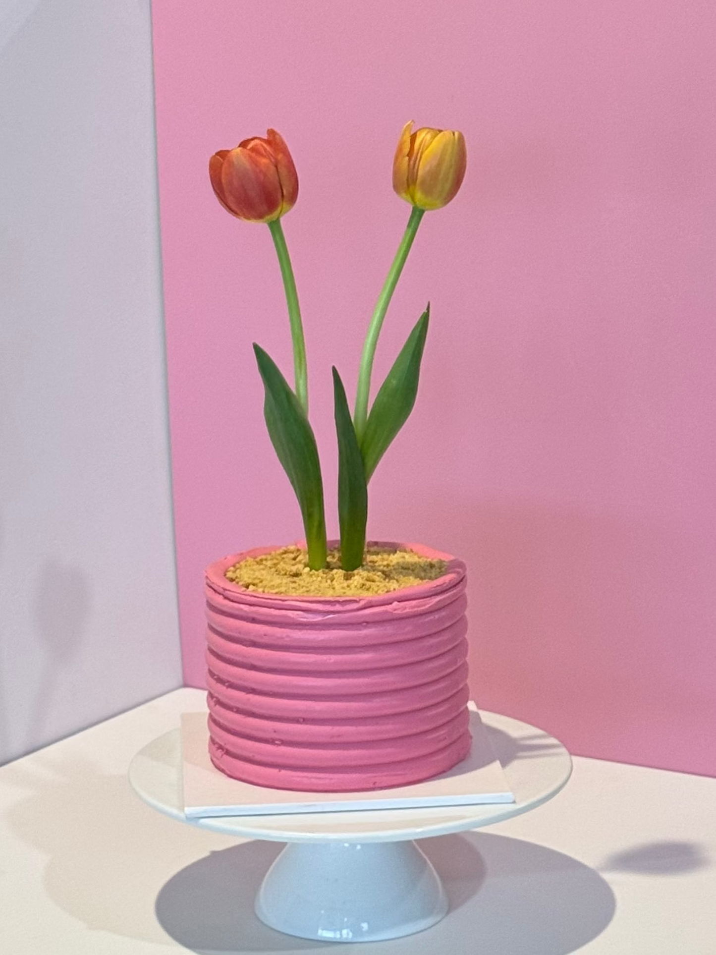Flower Pot Cake