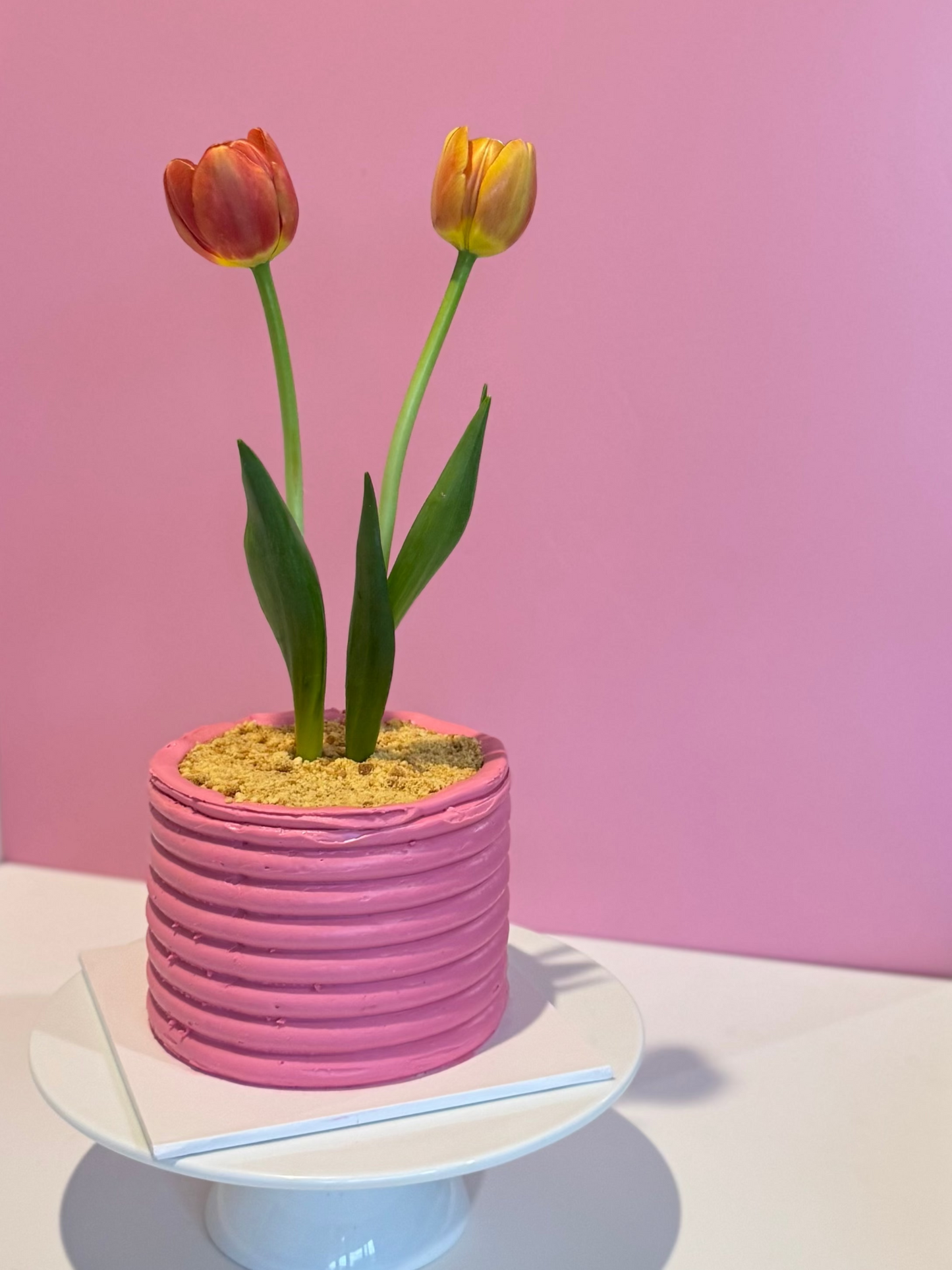 Flower Pot Cake